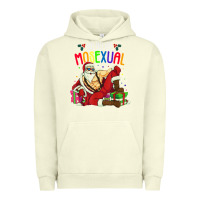 Pigment Pistachio mens ho ho ho mosexual Urban Hoodie - DesigneFamous