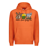 Carrot Peace Love Gray Fox Premium Hoodie - LillyAllenDesigns