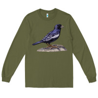 Army Green Lark Bunting Colorado State Bird Long Sleeve Tee - RanaPortraitStore