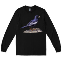 Black Lark Bunting Colorado State Bird Long Sleeve Tee - RanaPortraitStore