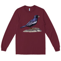 Burgundy Lark Bunting Colorado State Bird Long Sleeve Tee - RanaPortraitStore