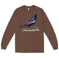 Chestnut Lark Bunting Colorado State Bird Long Sleeve Tee - RanaPortraitStore