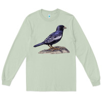 Matcha Lark Bunting Colorado State Bird Long Sleeve Tee - RanaPortraitStore
