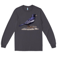 Smoke Lark Bunting Colorado State Bird Long Sleeve Tee - RanaPortraitStore