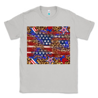 Moon Dust American flag and star leopard Classic Tee - Artiststas