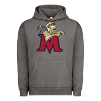 Pigment Tornado lions, molloy college Urban Hoodie - linhVisuals