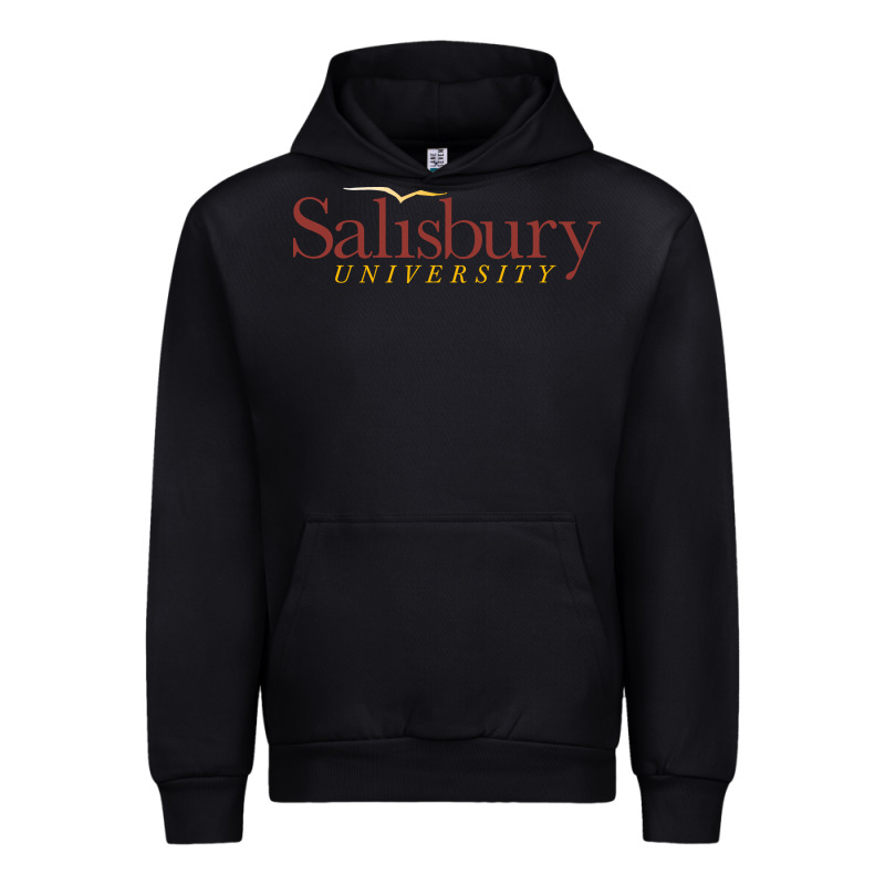 Salisbury University Urban Hoodie by linhVisuals | Teevron