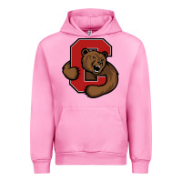 Fuchsia Pink The cornell big red Urban Hoodie - linhVisuals