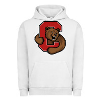 Pigment Lunar Rock The cornell big red Urban Hoodie - linhVisuals