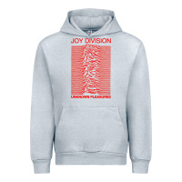 Joy Division Urban Hoodie | Teevron