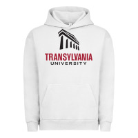 Pigment Lunar Rock transylvania university Urban Hoodie - linhVisuals
