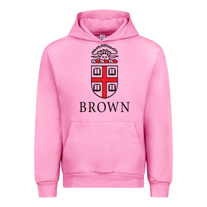Brown University Urban Hoodie by linhVisuals | Teevron