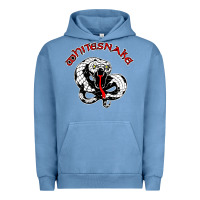 Pigment Pebble Blue whitesnake ws Urban Hoodie - linhVisuals