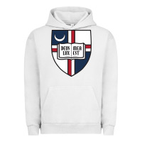 Pigment Lunar Rock university catholic Urban Hoodie - linhVisuals