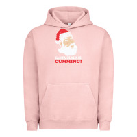 Pigment Salmon santa claus is cumming dirty humor Urban Hoodie - linhVisuals