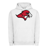Pigment Lunar Rock benedictine, mesa, college Urban Hoodie - linhVisuals