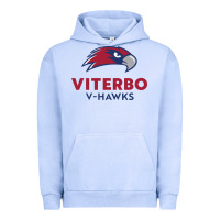 Pigment Grape Ice v-h4wks, viterbo, education Urban Hoodie - linhVisuals