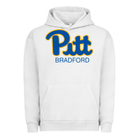 Pigment Lunar Rock pitt bradford, University of Pittsburgh at Bradford, Urban Hoodie - linhVisuals