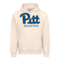 Sandshell pitt bradford, University of Pittsburgh at Bradford, Urban Hoodie - linhVisuals