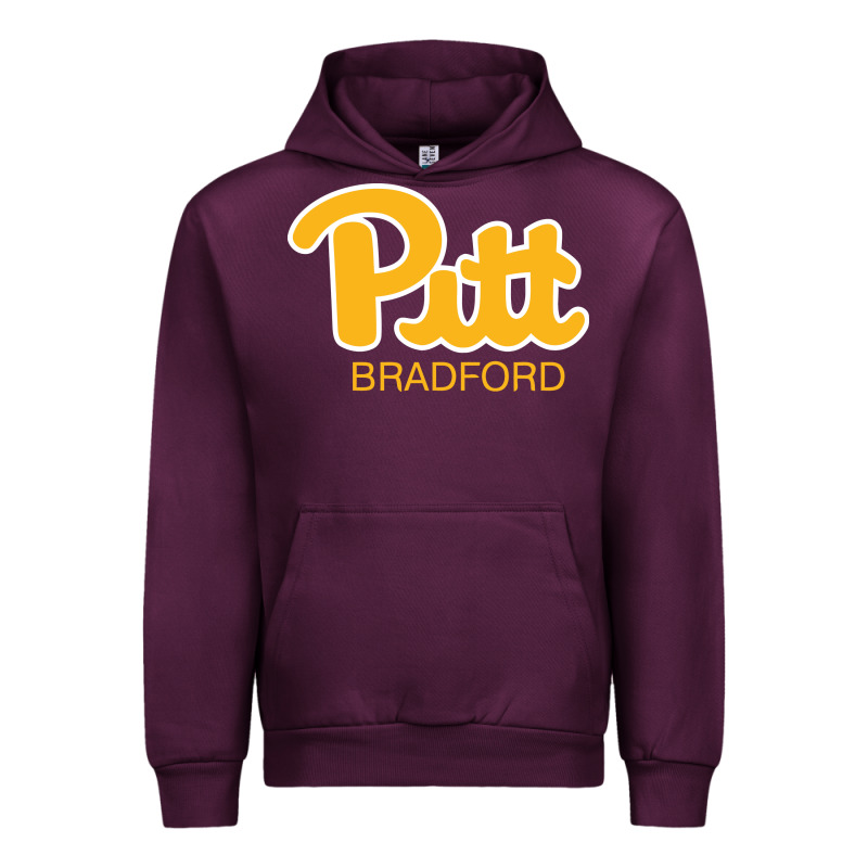 Pitt Bradford, University Of Pittsburgh At Bradford, Urban Hoodie by linhVisuals | Teevron