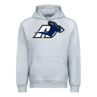 Heather Grey akron university zips Urban Hoodie - linhVisuals