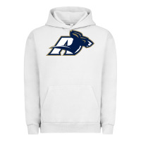 Akron University Zips Urban Hoodie | Teevron