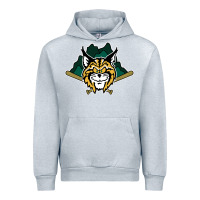 Heather Grey lynchburg hillcats Baseball Urban Hoodie - linhVisuals