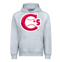 Heather Grey suitable-vancouver-canadians-worn Urban Hoodie - linhVisuals