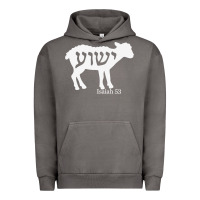 Pigment Tornado isaiah 53 lamb yeshua jesus t shirt Urban Hoodie - linhVisuals