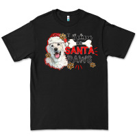 Black i believe in santa paws Premium Tee - CowGirlArtShop