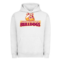 Pigment Lunar Rock brooklyn college Urban Hoodie - linhVisuals
