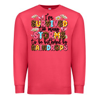 Cardinal i've survived too many storms Premium Sweatshirt - JahusDesignShop
