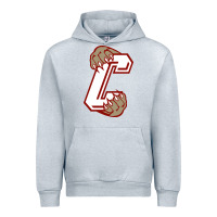 Heather Grey charleston cougars Urban Hoodie - linhVisuals