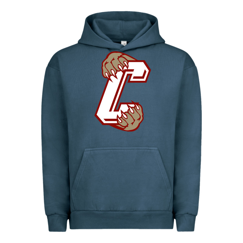 Charleston Cougars Urban Hoodie by linhVisuals | Teevron