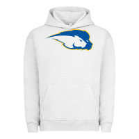 Pigment Lunar Rock hofstra pride Urban Hoodie - linhVisuals