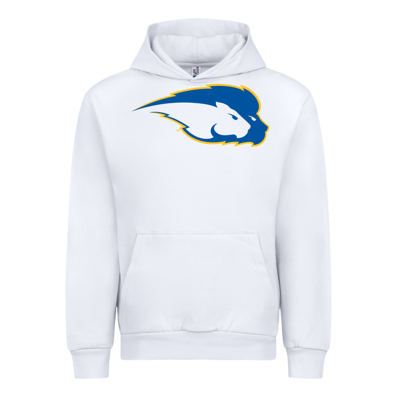 Hofstra Pride Urban Hoodie by linhVisuals | Teevron