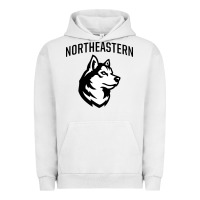 Pigment Lunar Rock northeastern huskies Urban Hoodie - linhVisuals