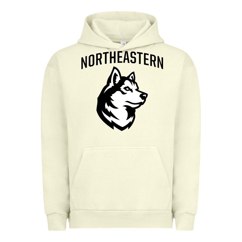 Northeastern Huskies Urban Hoodie by linhVisuals | Teevron