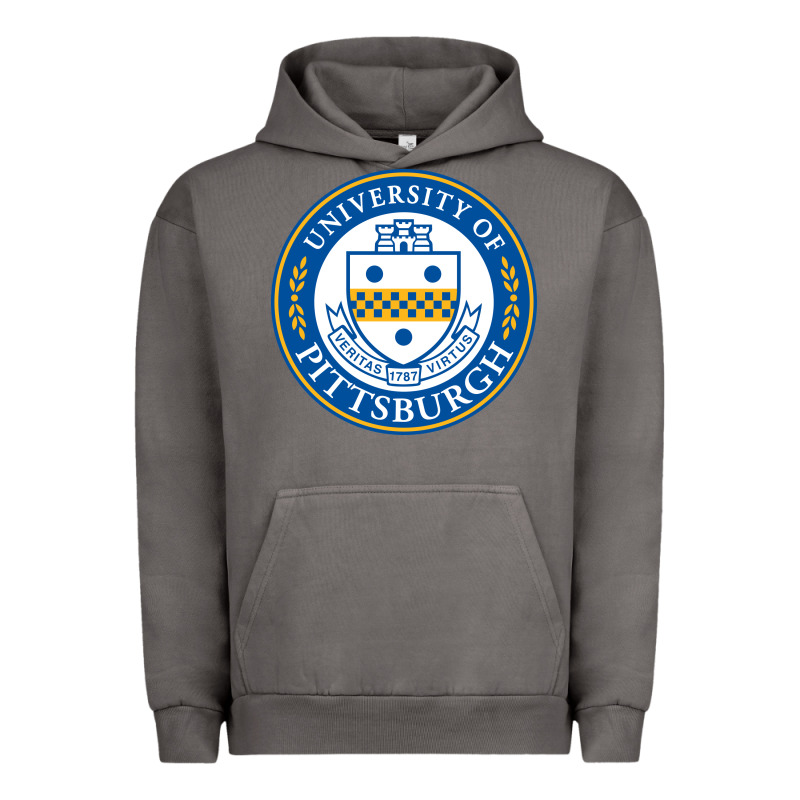 University Of Pittsburgh Urban Hoodie by linhVisuals | Teevron