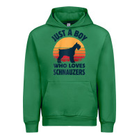 Emerald schnauzer just a boy who loves dogs men retro vintage sunset raglan ba Urban Hoodie - linhVisuals