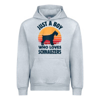 Heather Grey schnauzer just a boy who loves dogs men retro vintage sunset raglan ba Urban Hoodie - linhVisuals