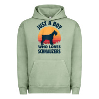 Pigment Oil Green schnauzer just a boy who loves dogs men retro vintage sunset raglan ba Urban Hoodie - linhVisuals