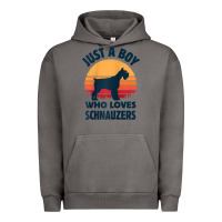 Pigment Tornado schnauzer just a boy who loves dogs men retro vintage sunset raglan ba Urban Hoodie - linhVisuals
