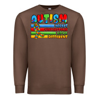 Chestnut autism accept understand love different Premium Sweatshirt - JahusDesignShop