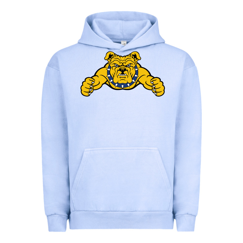 North Carolina A&t Aggies Urban Hoodie by linhVisuals | Teevron