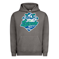 Pigment Tornado lexington legends Urban Hoodie - linhVisuals
