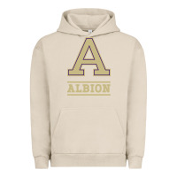 Pigment French Oak albion college athleticpurple Urban Hoodie - linhVisuals