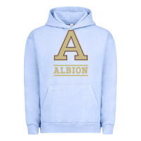 Pigment Grape Ice albion college athleticpurple Urban Hoodie - linhVisuals