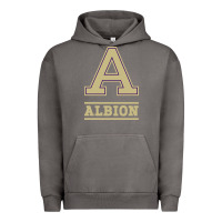 Pigment Tornado albion college athleticpurple Urban Hoodie - linhVisuals