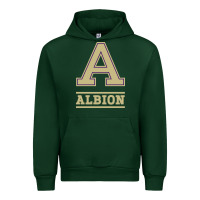 Forest Green albion college athleticpurple Urban Hoodie - linhVisuals